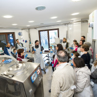 Laboratorio formaggio 28 febbr 2015