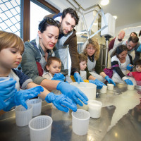 Laboratorio formaggio 28 febbr 2015