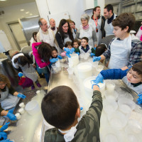 Laboratorio formaggio 28 febbr 2015