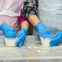 Laboratorio formaggio 28 febbr 2015