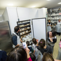 Laboratorio formaggio 28 febbr 2015