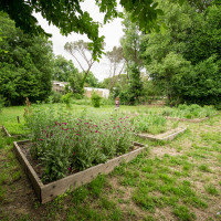 Cultura e alimentazione in orto_Picnic 16 maggio a sostegno di Hortus Urbis (Appia Antica, Roma). Contenuti scientifici dott.ssa Nicoletta Paolillo; sostegno e merenda bio di Eu's il buono fatto bene; foto di Andrea Sciarra (wwwandreascirrafoto.com)