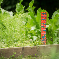 Cultura e alimentazione in orto_Picnic 16 maggio a sostegno di Hortus Urbis (Appia Antica, Roma). Contenuti scientifici dott.ssa Nicoletta Paolillo; sostegno e merenda bio di Eu's il buono fatto bene; foto di Andrea Sciarra (wwwandreascirrafoto.com)