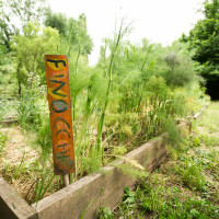 Cultura e alimentazione in orto_Picnic 16 maggio a sostegno di Hortus Urbis (Appia Antica, Roma). Contenuti scientifici dott.ssa Nicoletta Paolillo; sostegno e merenda bio di Eu's il buono fatto bene; foto di Andrea Sciarra (wwwandreascirrafoto.com)