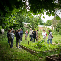 Cultura e alimentazione in orto_Picnic 16 maggio a sostegno di Hortus Urbis (Appia Antica, Roma). Contenuti scientifici dott.ssa Nicoletta Paolillo; sostegno e merenda bio di Eu's il buono fatto bene; foto di Andrea Sciarra (wwwandreascirrafoto.com)